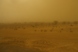 Desert & Sandstorm