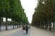 Flanieren auf der Champs &Eacute;lys&eacute;es