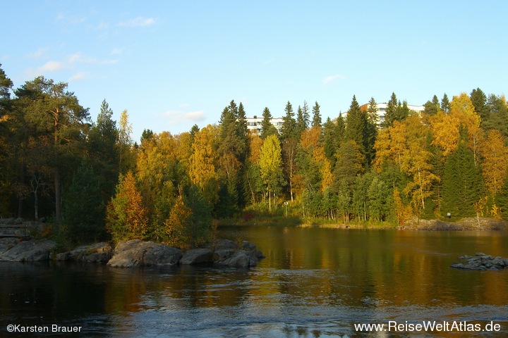 Häuser hinterm Wald