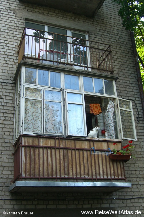 Katze auf dem Balkon