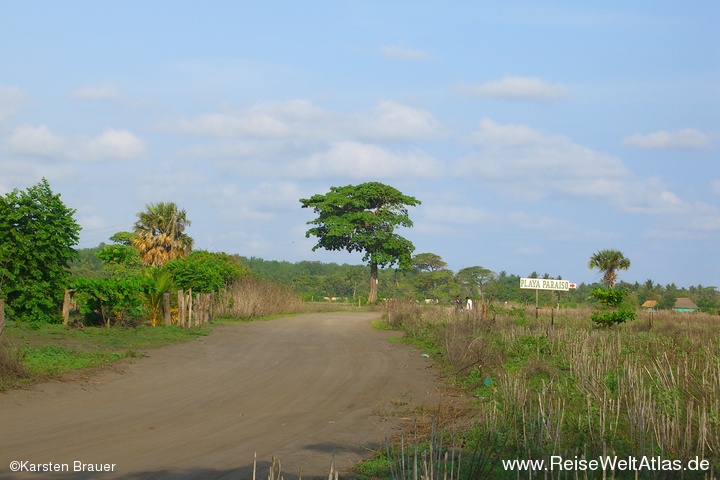 Savannenlandschaft