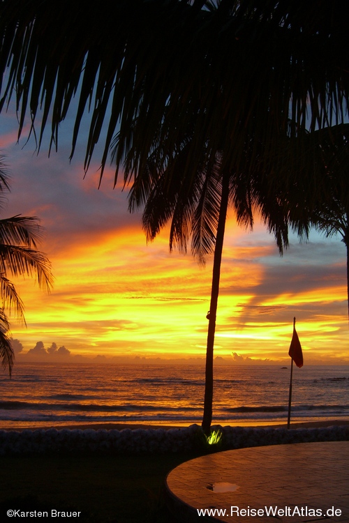 Sonnenuntergang unter Palmen