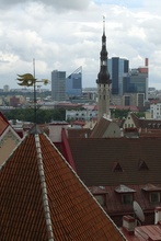 Wetterhahn und Rathaus