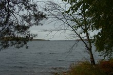 Seeblick