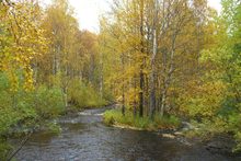 Fluss