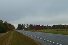 Farm