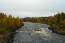 Wildwasser