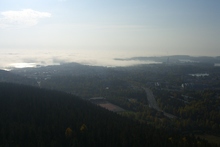 Morgennebel