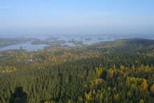 Inseln im See