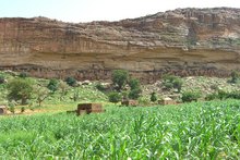 Falaise de Bandiagara