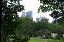 Central Park