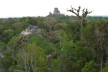 Tempel IV