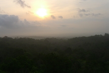 Morgennebel