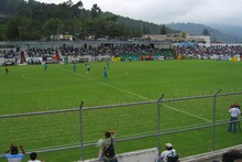 Saftiges Grün