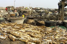 Fischmarkt