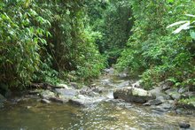Fluss